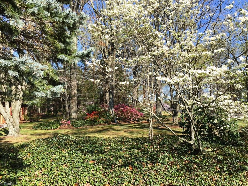 433 Hartgrove Road King, NC 27021 - Photo 22 of 26