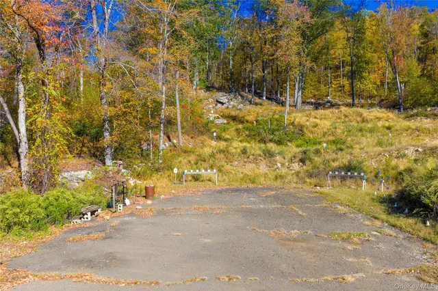 a view of road and trees