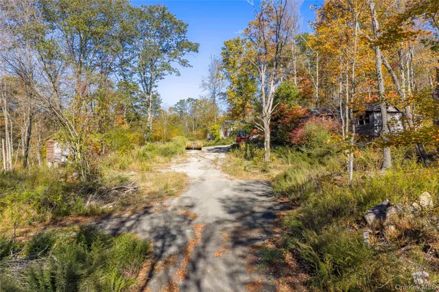a view of empty yard with trees