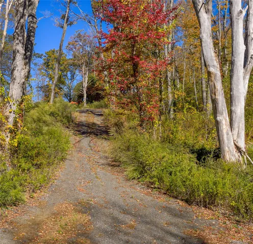 a view of a plants with flower plants