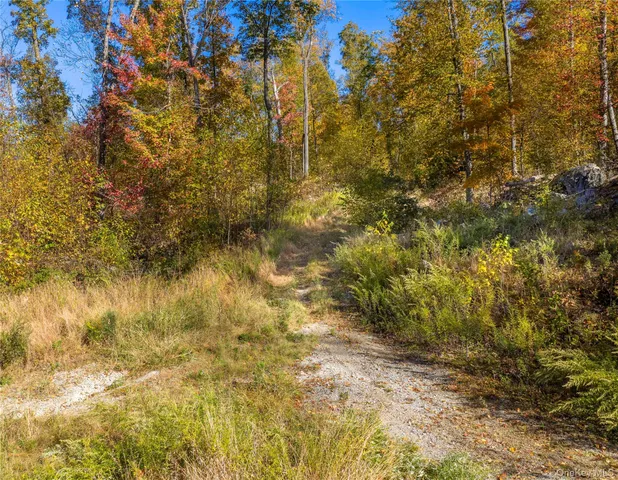 a view of a yard with a tree