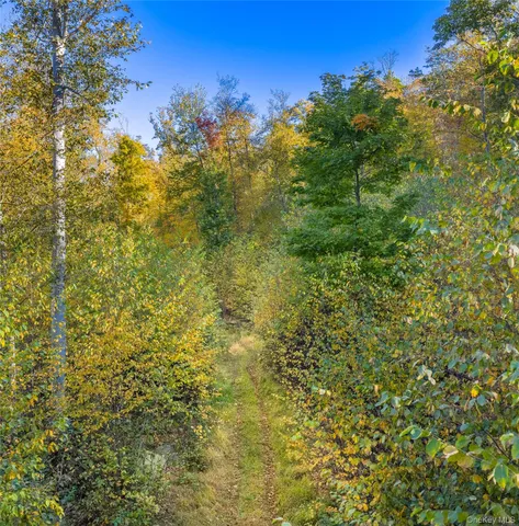 a view of a large yard with lots of bushes