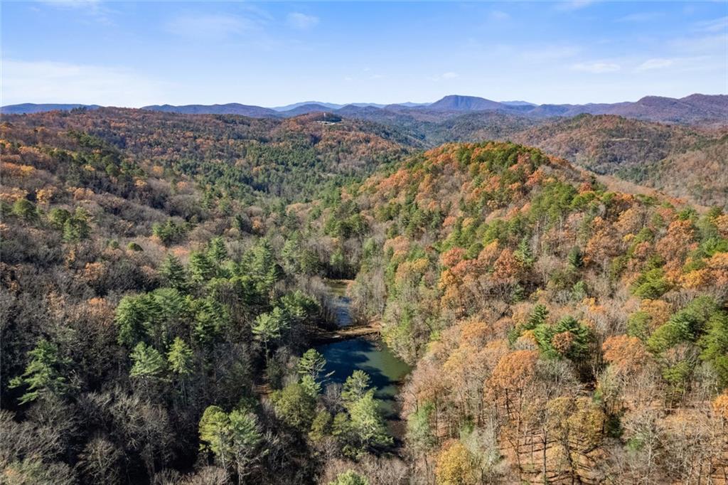 1 Hale Ridge Road Clayton, GA 30525 - Photo 11 of 19 a view of a lush green hillside and a houses