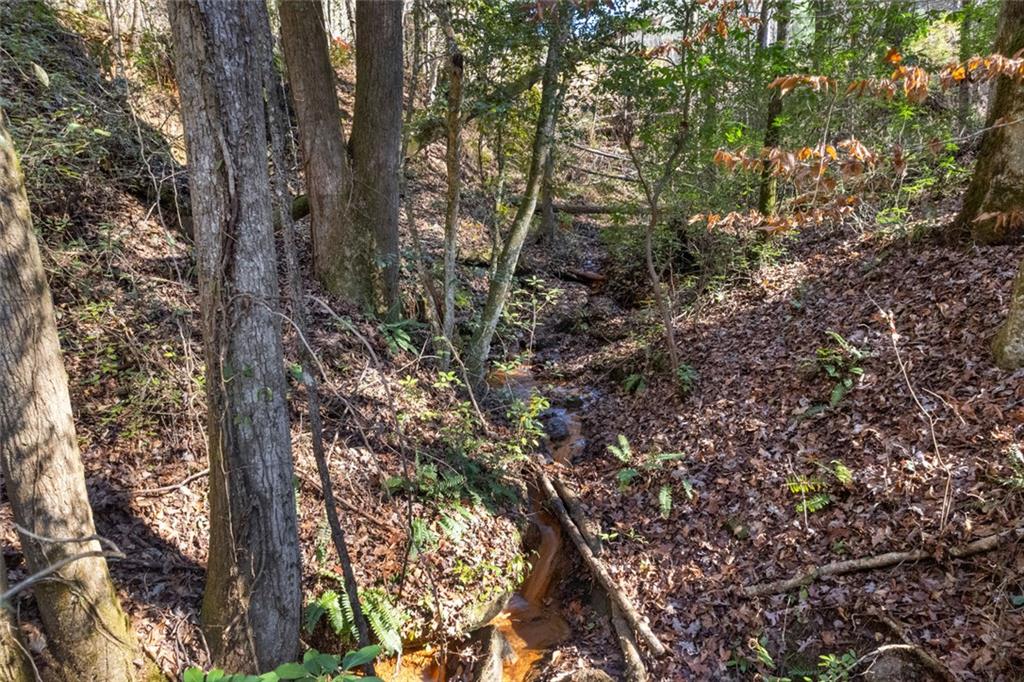 1 Hale Ridge Road Clayton, GA 30525 - Photo 16 of 19 a view of tree
