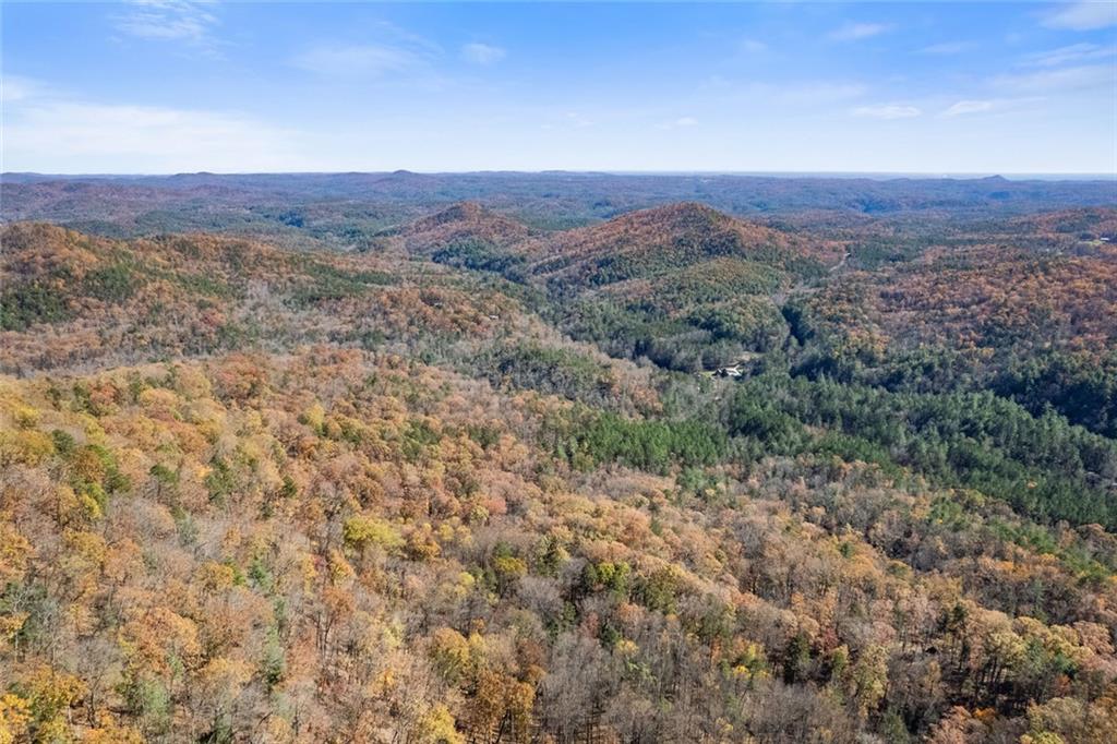 1 Hale Ridge Road Clayton, GA 30525 - Photo 17 of 19 a view of a mountain range with trees