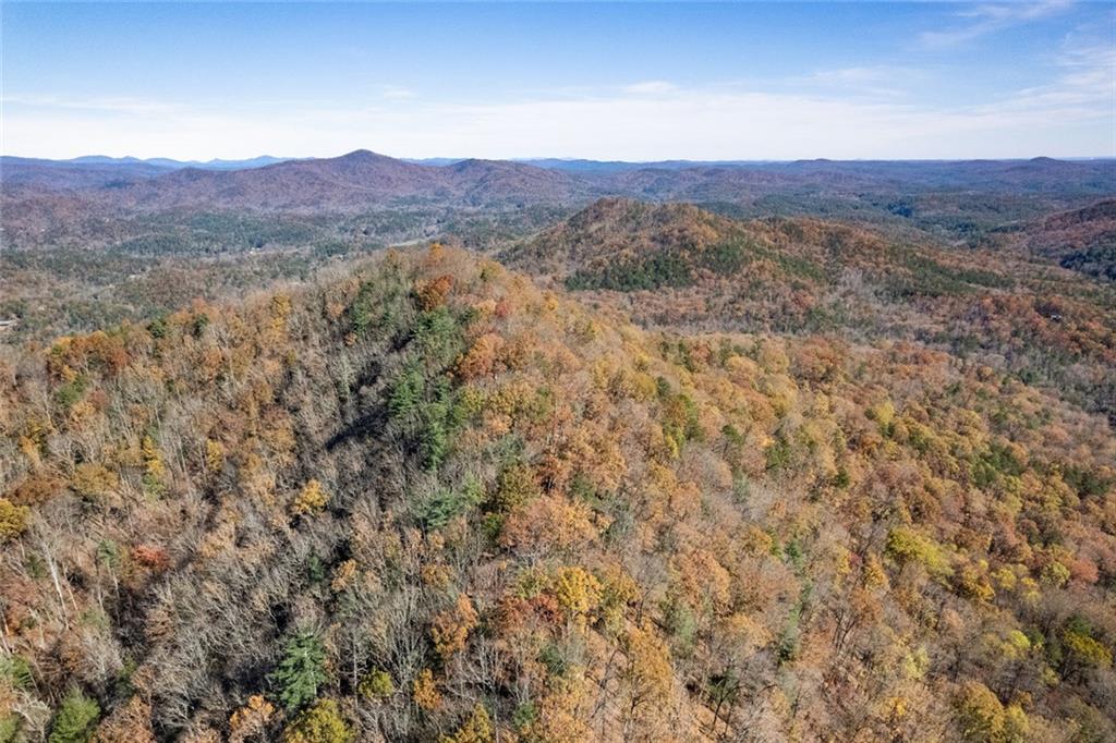 1 Hale Ridge Road Clayton, GA 30525 - Photo 19 of 19 a view of a forest with mountains in the background