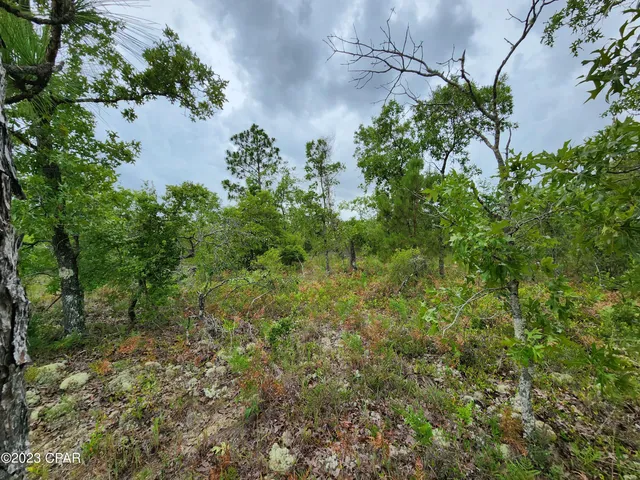 $21,900 | 0 Military Court, Unit LOT 4, Alford, FL 32420