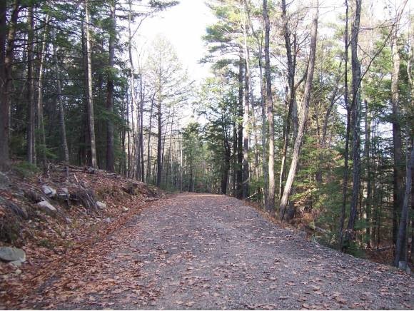 Lake Shore Road Gilford, NH 03249 - Photo 1 of 1