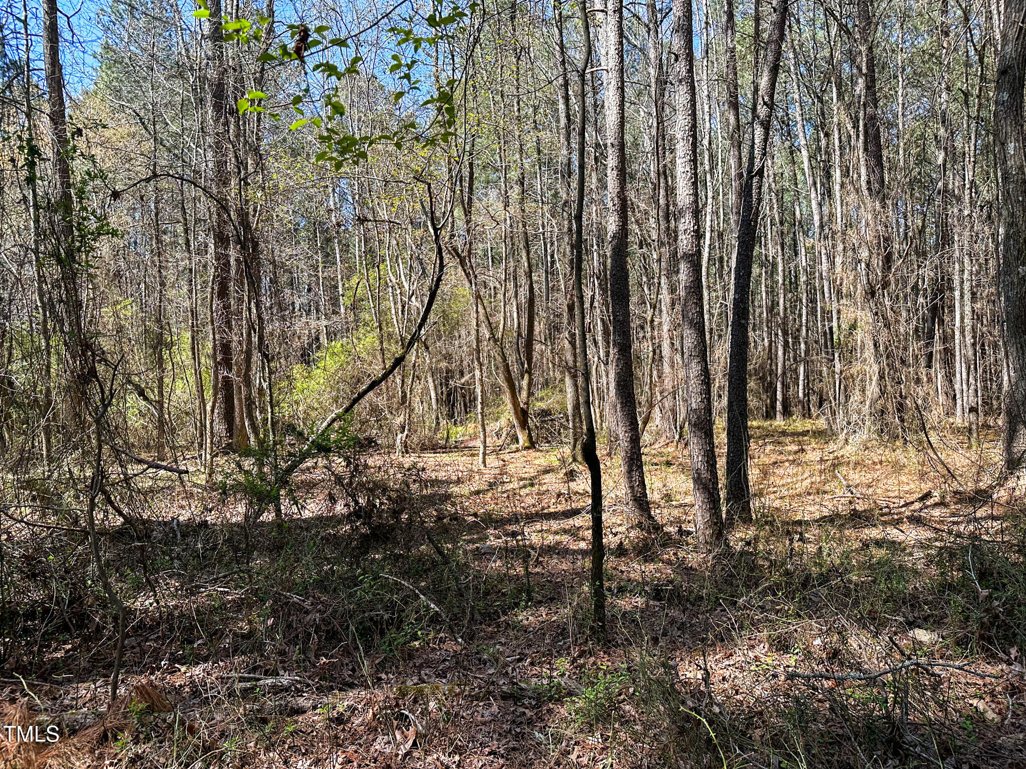 0 Brower Road Siler City, NC 27344 - Photo 11 of 15 Brower Road 11