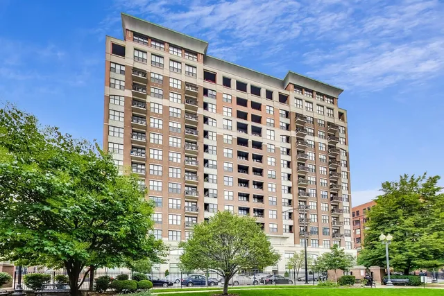 $310,000 | 849 North Franklin Street, Unit 1110, Chicago, IL 60610