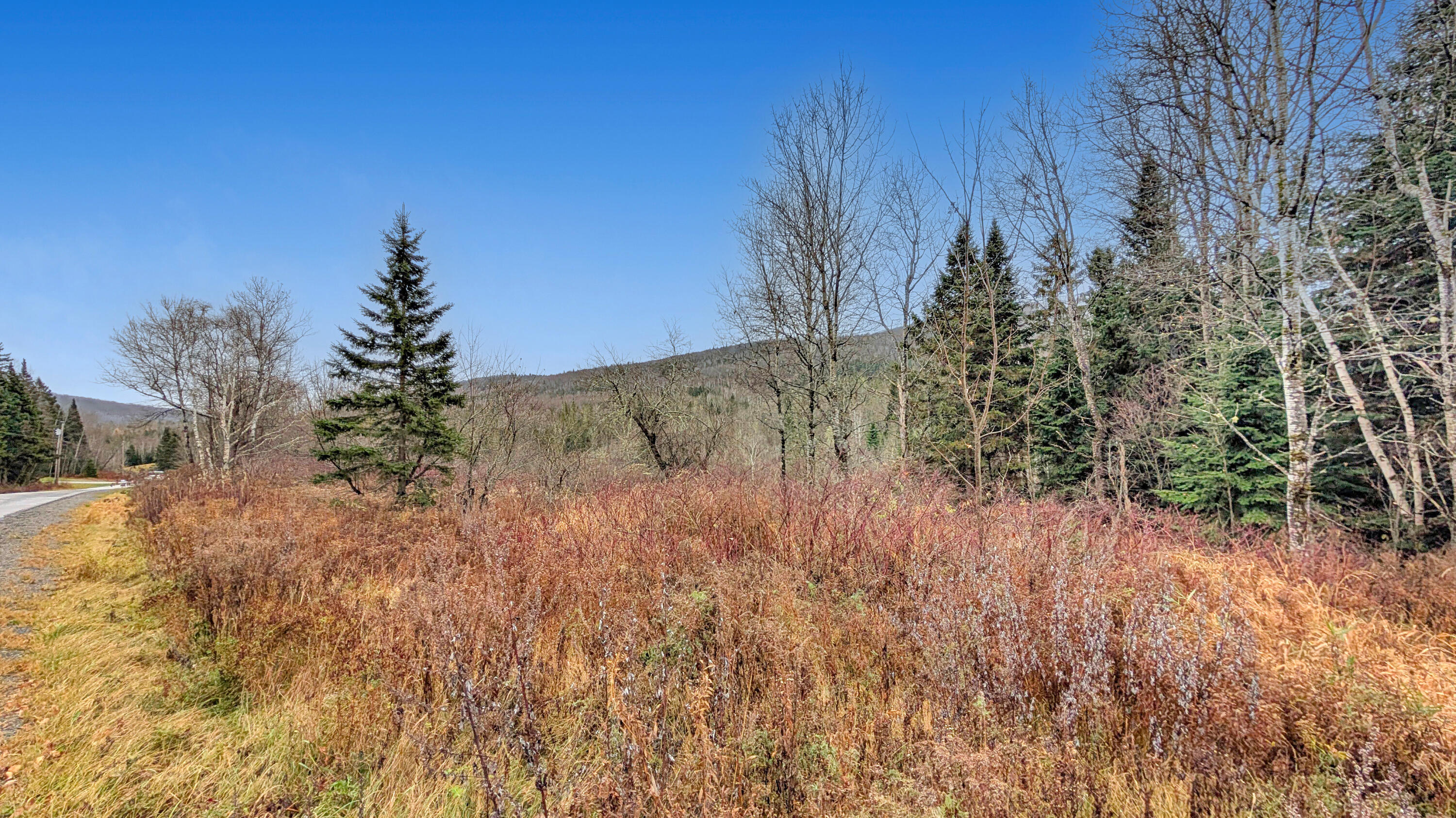 500 Violette Settlement Road Fort Kent, ME 04743 - Photo 8 of 11 14