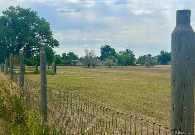 a view of a field with a trees in the background