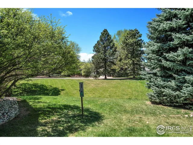 a view of yard with green space