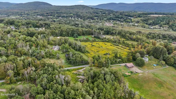 a view of a lush green hillside and houses