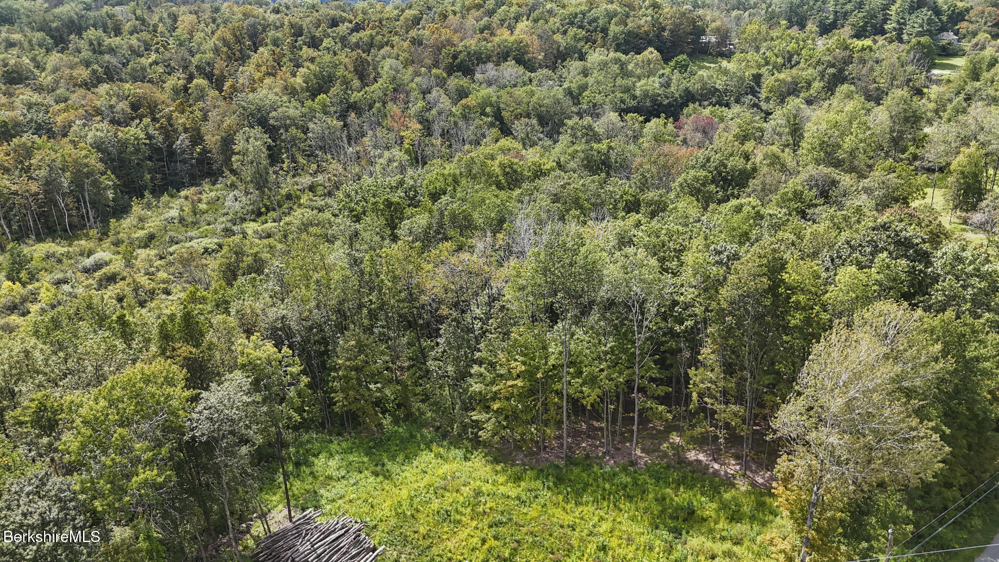 0 Miner Road Lanesborough, MA 01237 - Photo 3 of 10 a view of a forest with a tree