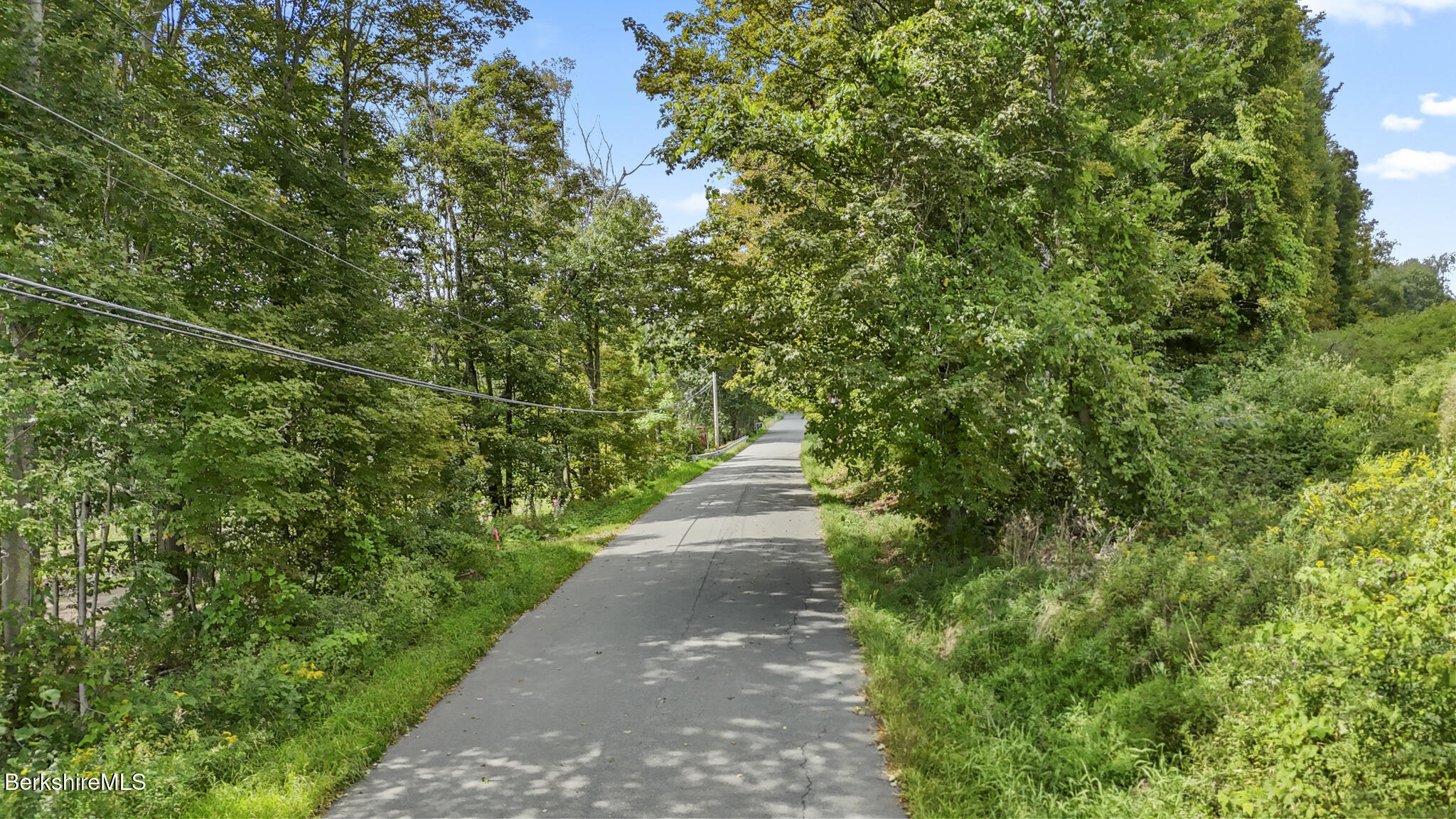 0 Miner Road Lanesborough, MA 01237 - Photo 4 of 10 a view of a pathway both side of yard