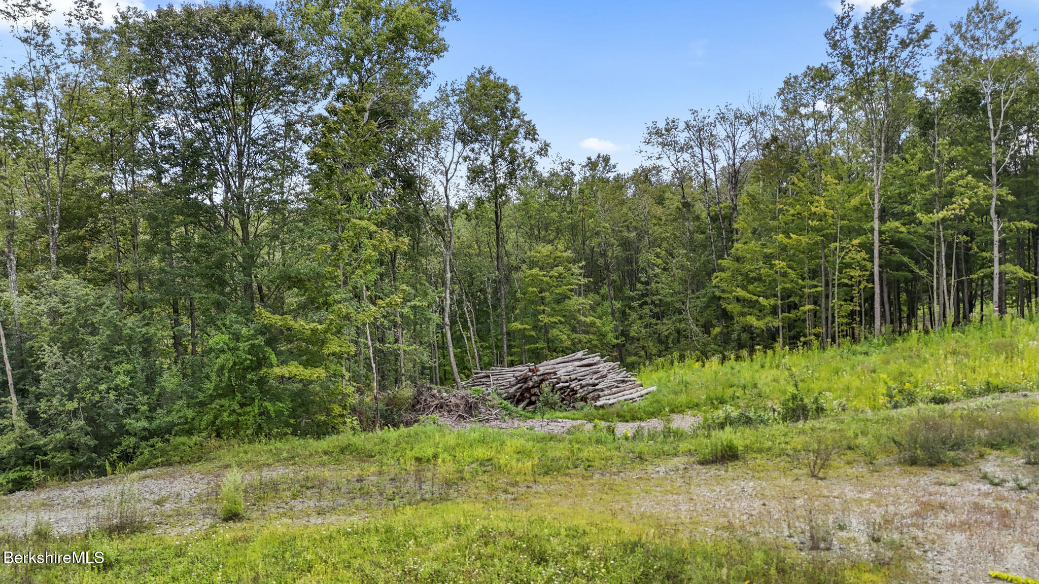 0 Miner Road Lanesborough, MA 01237 - Photo 4 of 10 a backyard of a house with lots of green space