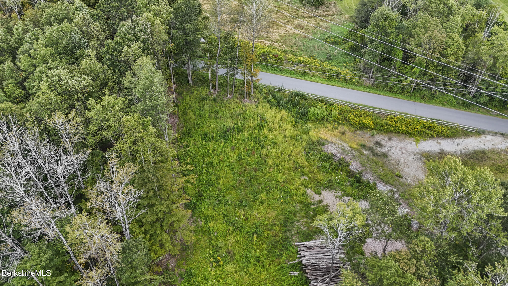 0 Miner Road Lanesborough, MA 01237 - Photo 5 of 10 a view of a yard with plants and large trees
