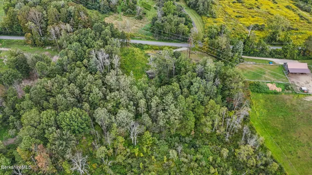 $65,000 | 0 Miner Road, Lanesborough, MA 01237