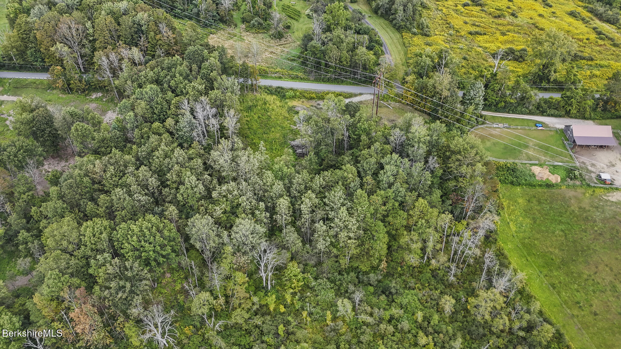0 Miner Road Lanesborough, MA 01237 - Photo 8 of 10 a view of a lush green forest with lots of trees