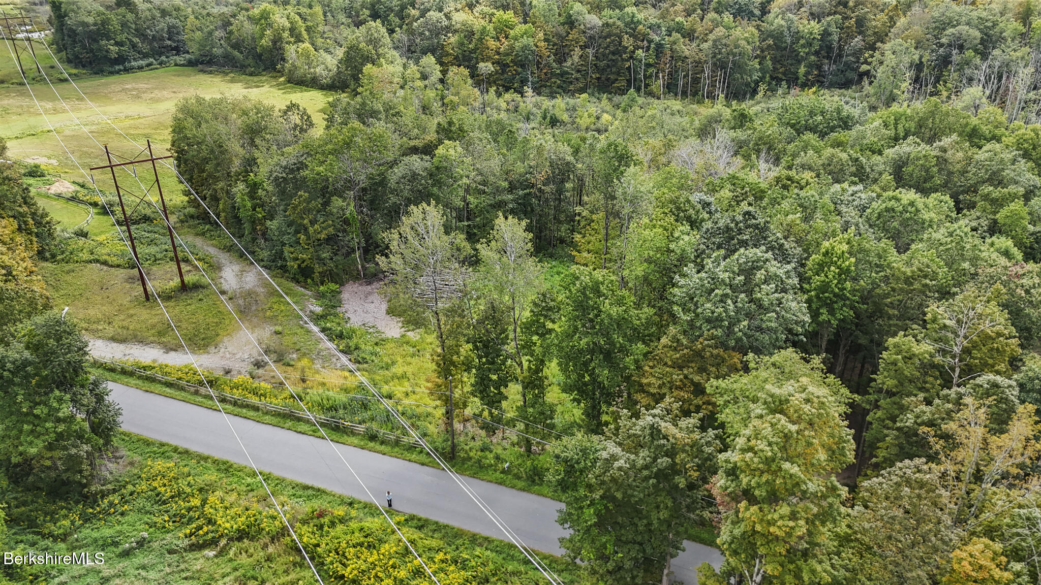 0 Miner Road Lanesborough, MA 01237 - Photo 9 of 10 a view of a yard with plants