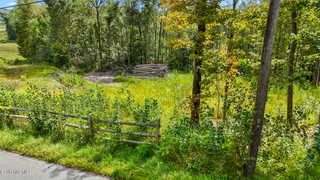 a view of yard with green space