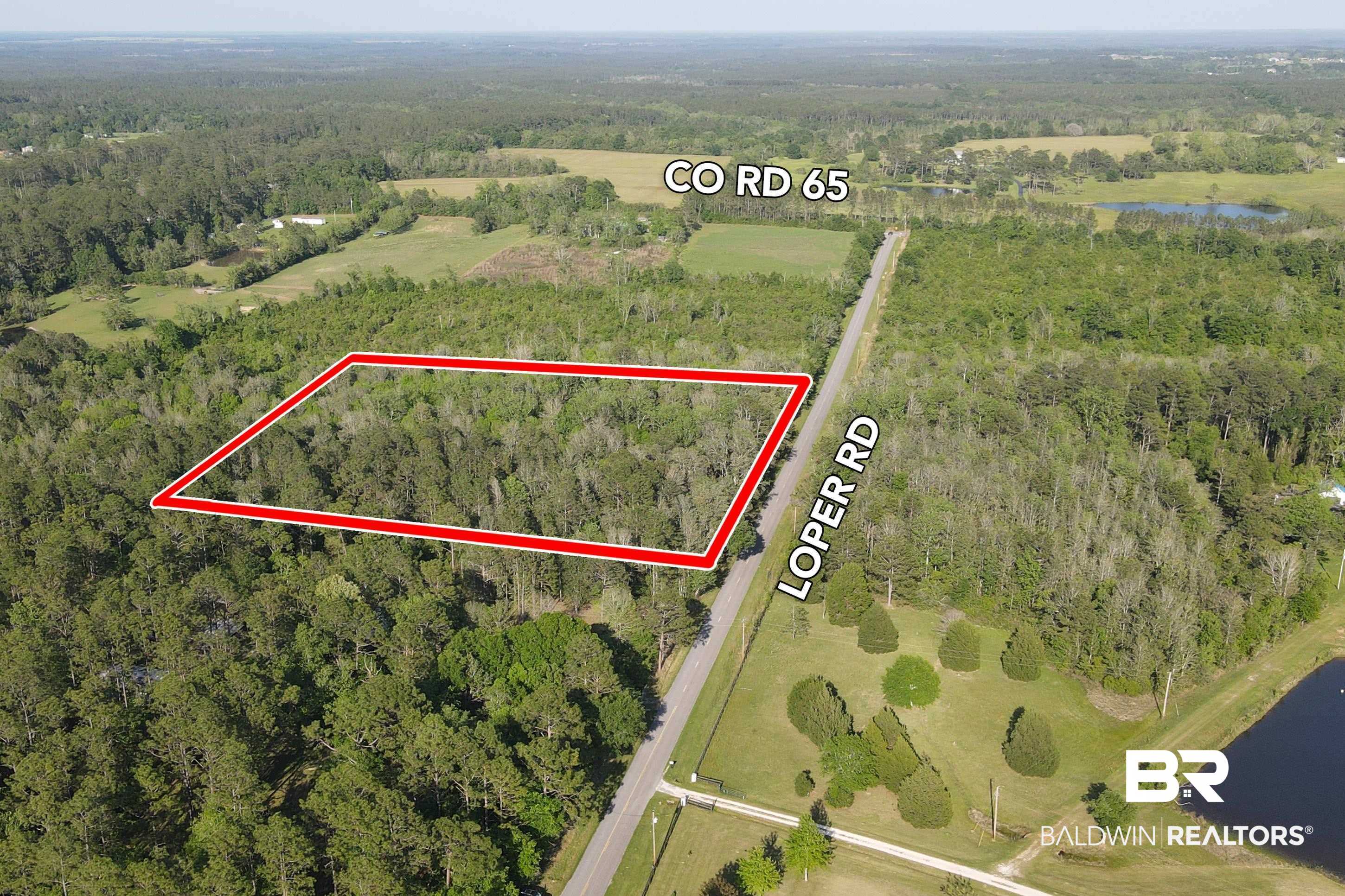 0 Loper Road Loxley, AL 36551 - Photo 4 of 9