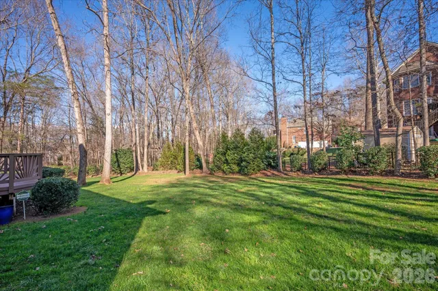 a big yard with large trees