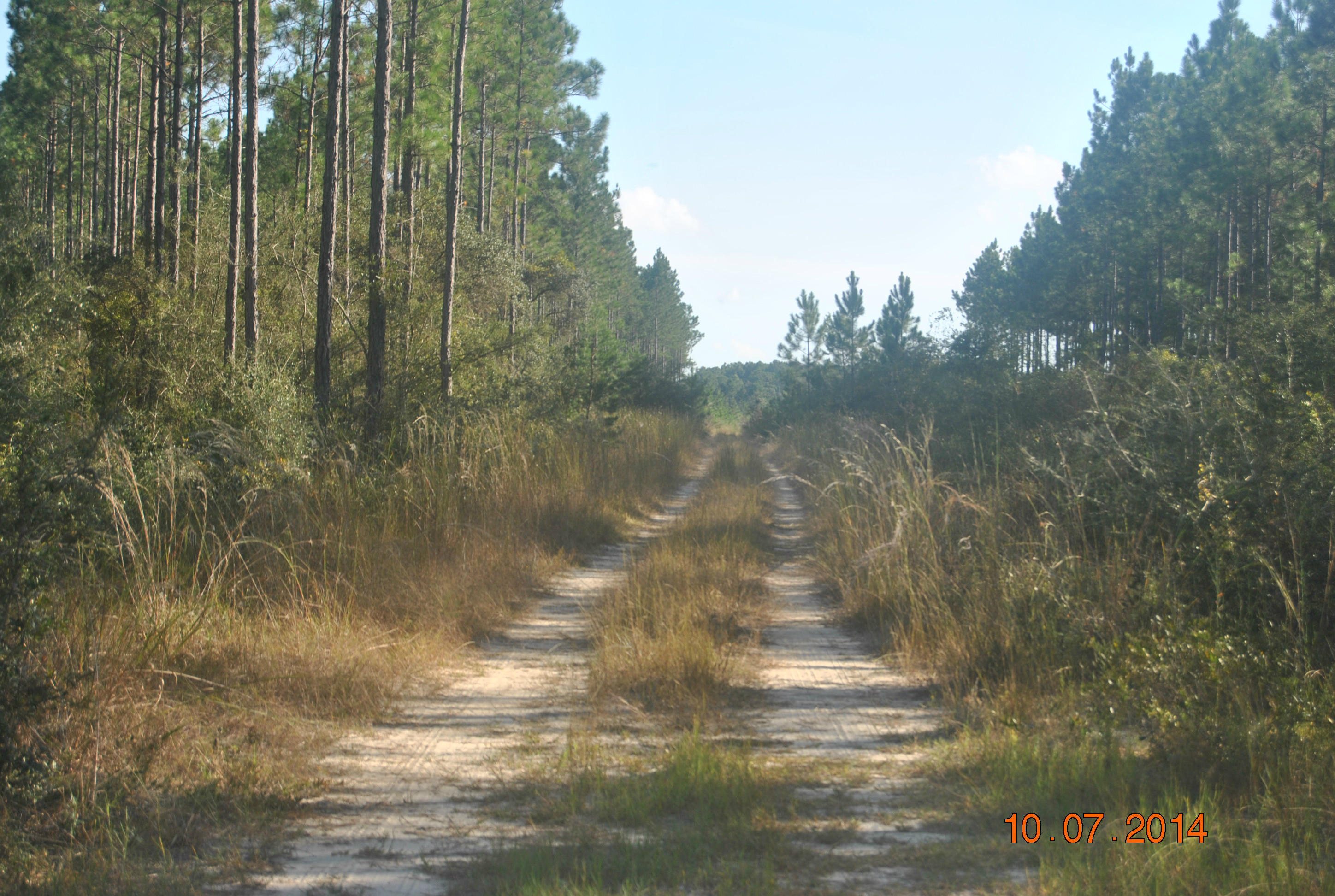 Xxxx Saunders Road Freeport, FL 32439 - Photo 3 of 5 Gallery Image 3