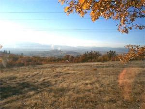 1806 North Roxy Drive Medford, OR 97504 - Photo 1 of 1 Primary Photo