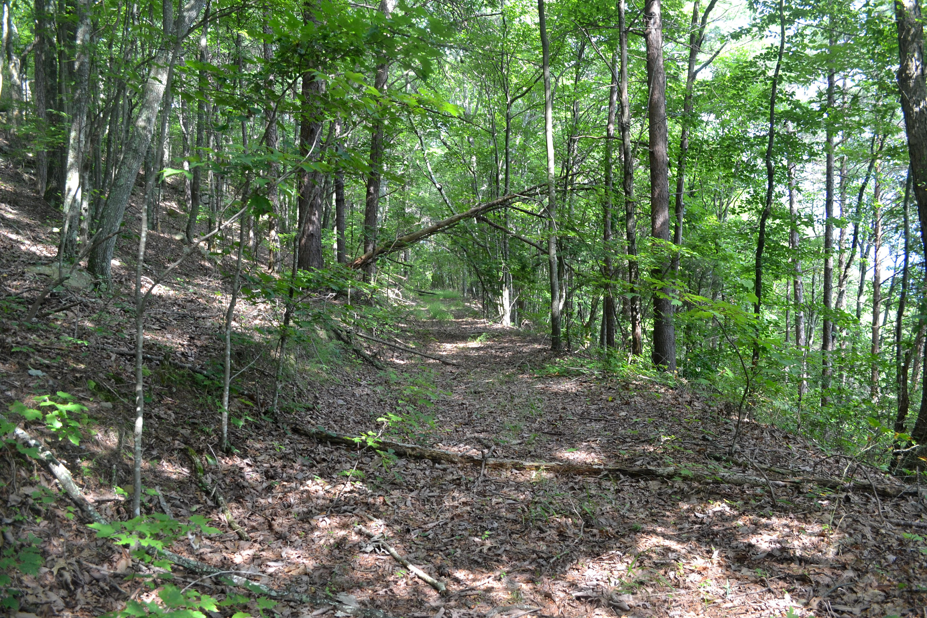 64.7-ac Hobbstown Road Dunlap, TN 37327 - Photo 1 of 9 DSC_0630