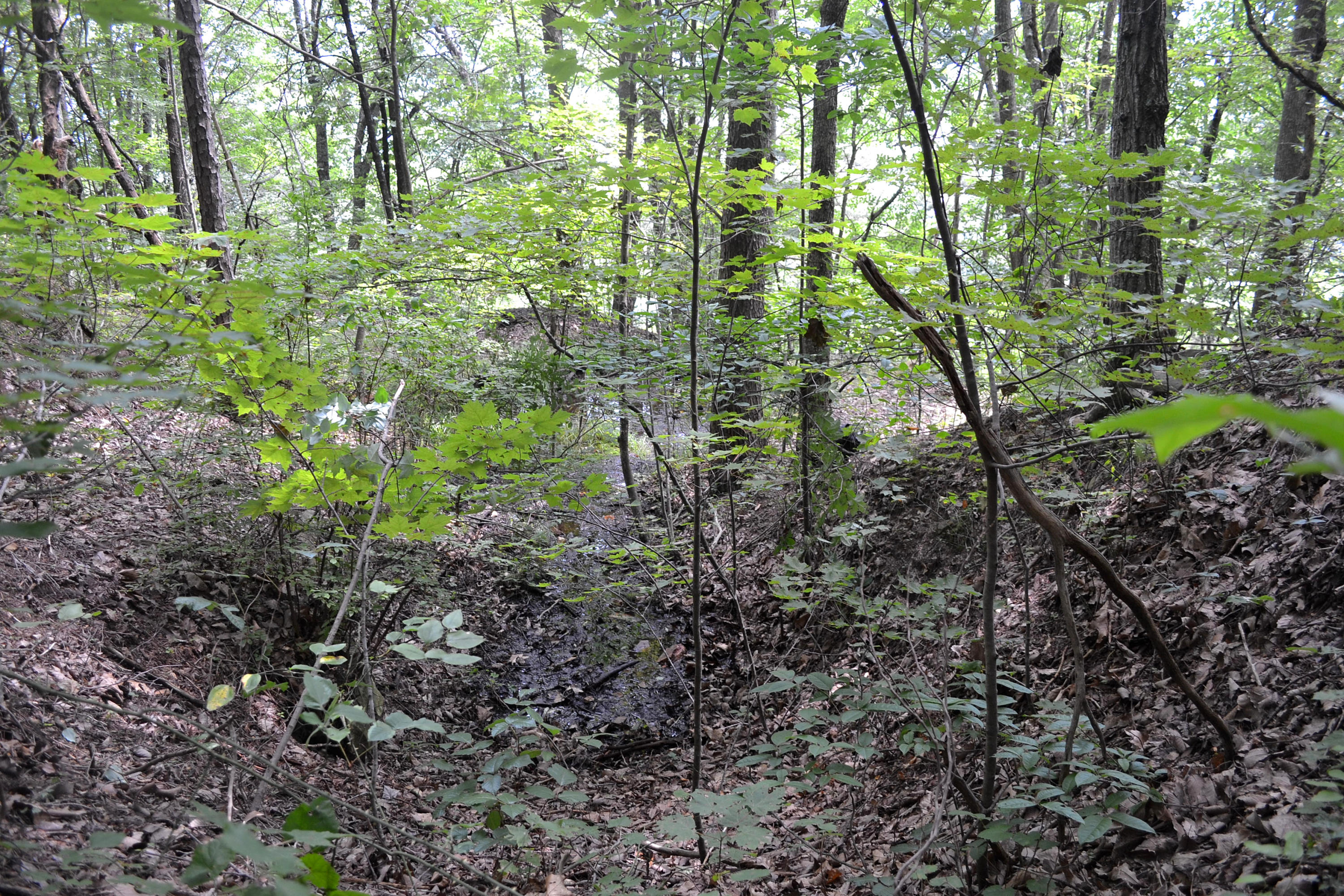 64.7-ac Hobbstown Road Dunlap, TN 37327 - Photo 3 of 9 DSC_0614