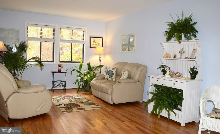 11814 Grey Birch Place Reston, VA 20191 - Photo 12 of 30 Living Room