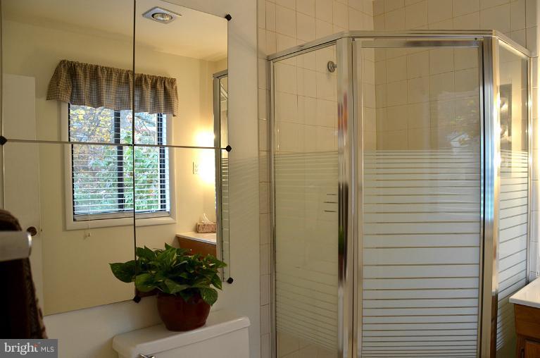 11814 Grey Birch Place Reston, VA 20191 - Photo 16 of 30 Bath (Master)
