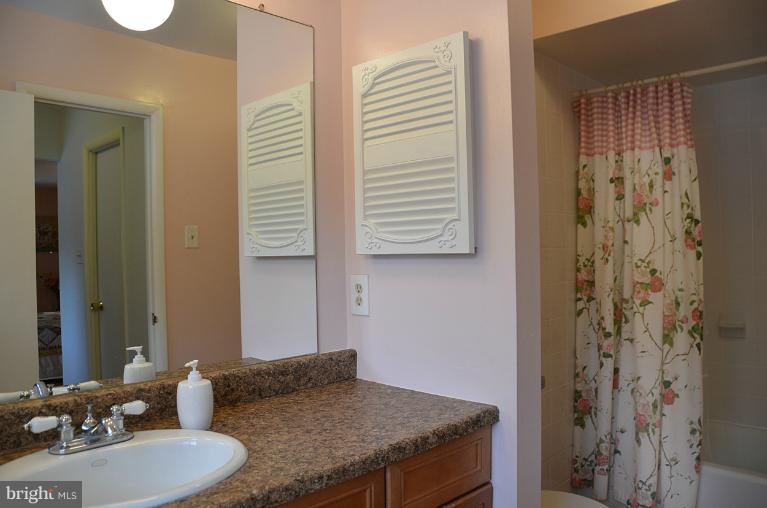 11814 Grey Birch Place Reston, VA 20191 - Photo 17 of 30 Bath (Master)