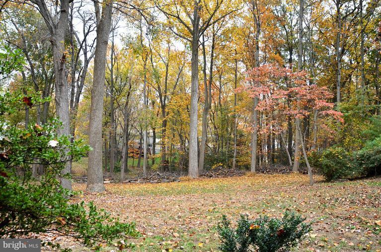 11814 Grey Birch Place Reston, VA 20191 - Photo 27 of 30 View