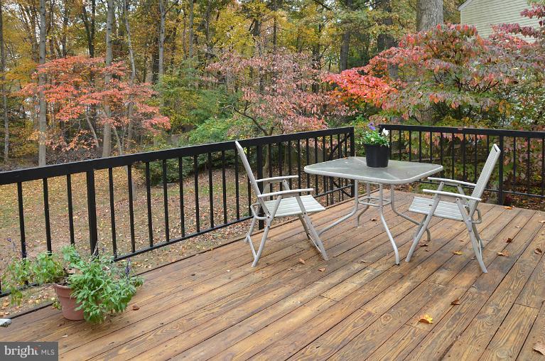 11814 Grey Birch Place Reston, VA 20191 - Photo 29 of 30 Exterior (General)