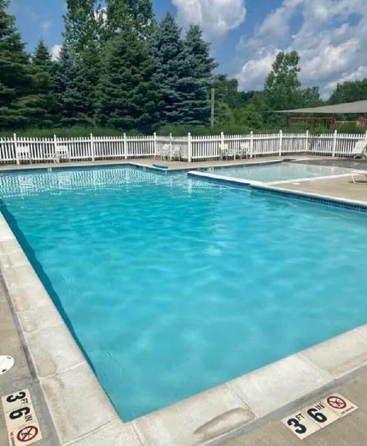 780 Jackson Lane Milan, MI 48160 - Photo 27 of 28 pool1