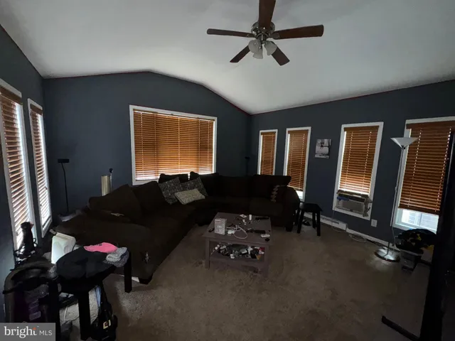 a view of a backyard with plants and a patio