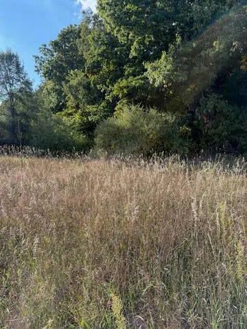 $190,000 | V/l Industrial Park Drive, Greenville, MI 48838