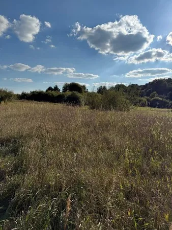 $175,000 | V/l Industrial Park Drive, Greenville, MI 48838