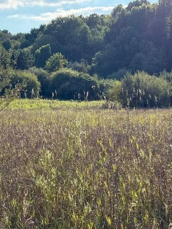 $175,000 | V/l Industrial Park Drive, Greenville, MI 48838