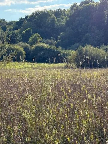 $190,000 | V/l Industrial Park Drive, Greenville, MI 48838