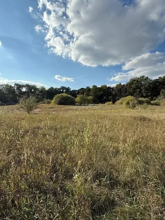 $175,000 | V/l Industrial Park Drive, Greenville, MI 48838