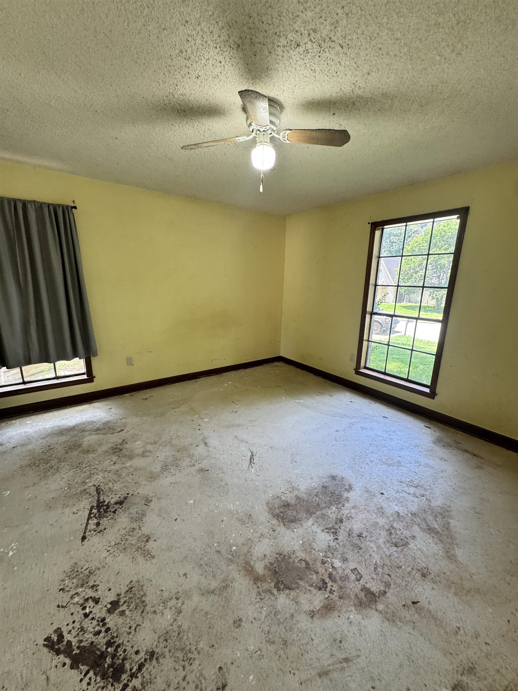 4334 Timber Rise Road Memphis, TN 38125 - Photo 16 of 18 Room featuring a ceiling fan with light fixture, multiple windows, and a textured ceiling
