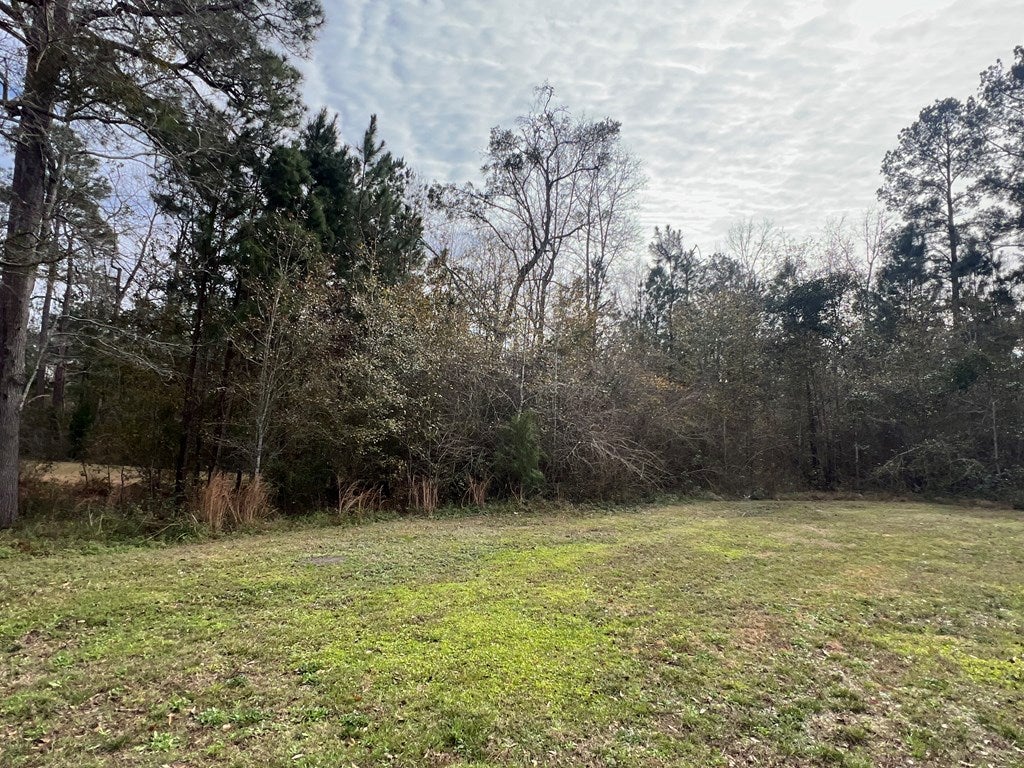 900 Benton Road Ochlocknee, GA 31773 - Photo 22 of 33 Gallery Image 22