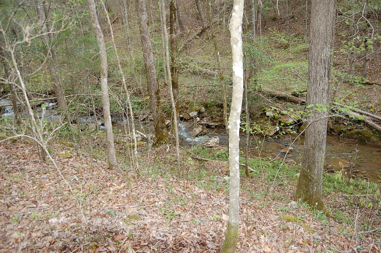 11 Flat Mountain Road Dunlap, TN 37327 - Photo 22 of 24 Gallery Image 22