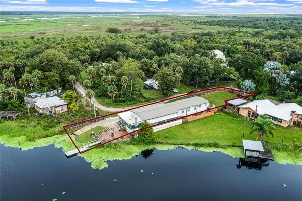 a view of a park with large trees