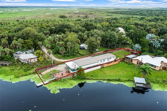 a view of a park with large trees