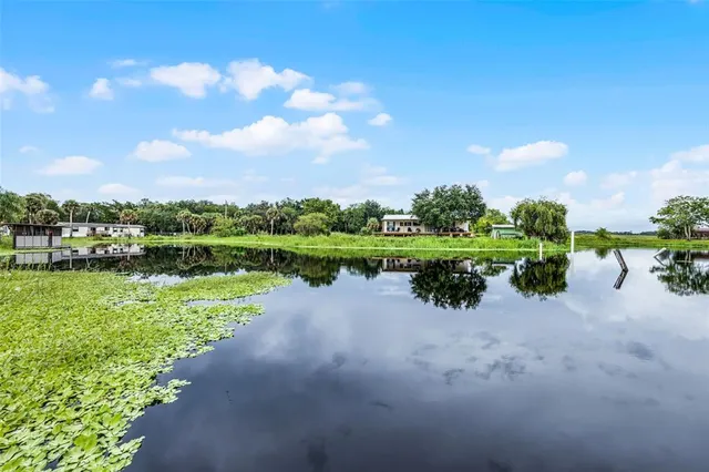a view of a house with backyard and porch
